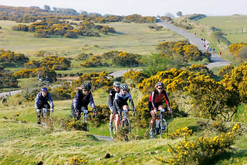 5 fun family cycle routes in Cornwall