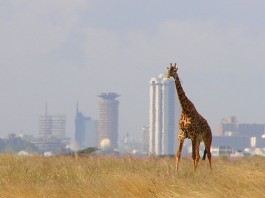 THINGS TO DO IN NAIROBI africa