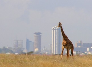 THINGS TO DO IN NAIROBI africa