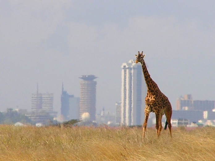 THINGS TO DO IN NAIROBI africa