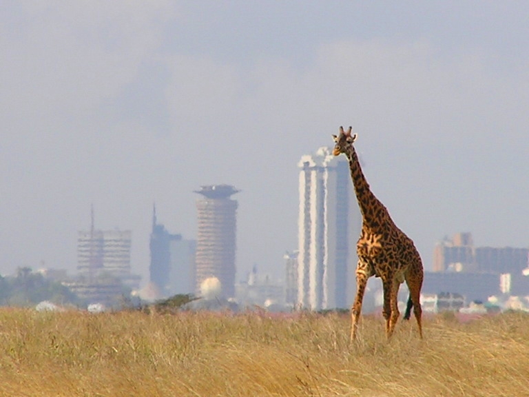 THINGS TO DO IN NAIROBI africa