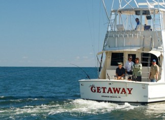 Gulf Fishing Trip