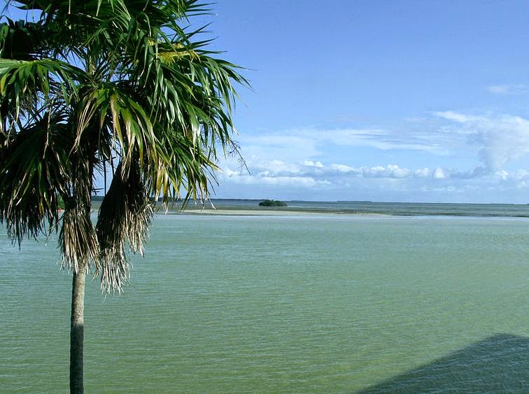 Tips on Preparing for a Pardon