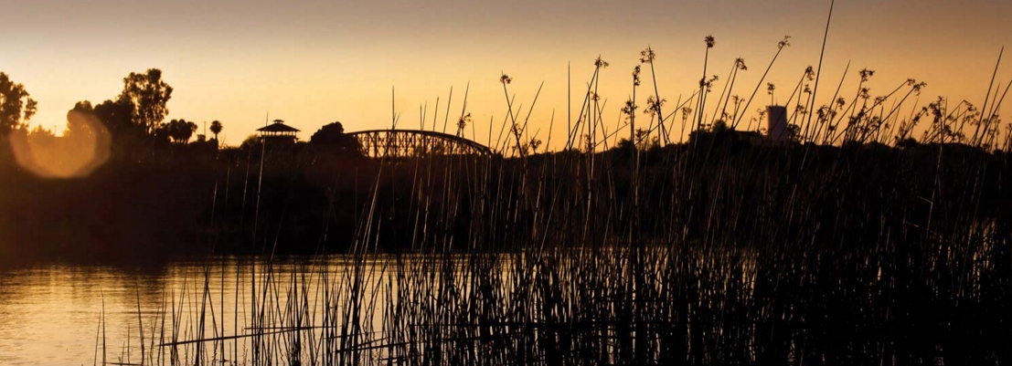 things to do in yuma az