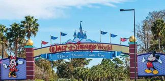 things to do at disney world