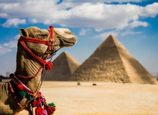 egypt travel throne