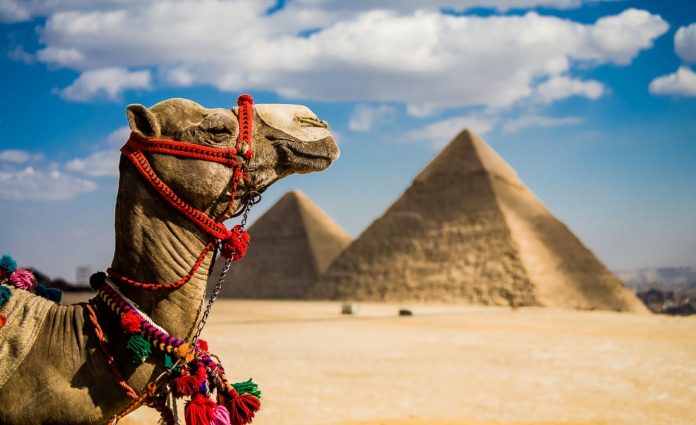 egypt travel throne